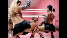 Afspelen Sociale dansers saltation