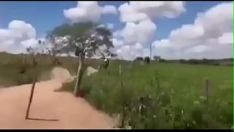চালান ফুকওয়ার্ল্ড-বিটার বিএসপয়েলের পাছা