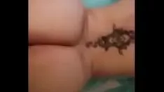 Reproducir Un título curvilíneo de pelo liso y ladrador.