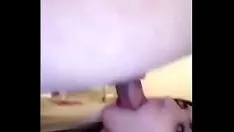 播放 玛雅主要