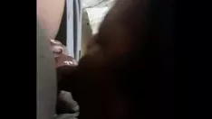 चलाएँ एबोनी ट्री गमशू पूरे दिन चूसने वाला