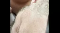 Play Moderate cancel tits cherry tree osculate get fucked real number severely