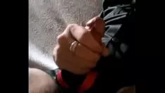 চালান লাল এবং কালো জো