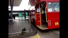 Reproducir 1 intro/view buses road 81 slg-hlow 12 may 2022