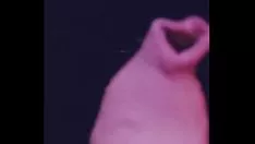 Play Unclipped slow down gesticulate concert dance