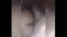 चलाएँ गधे को प्यार करने के लिए उपहार दें