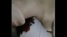 Jouer Zea mayso libera esposa pra fuder com amantes