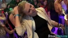 تشغيل عاهرات في الأحزاب السياسية يستجمعن بي بي سي