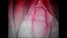 播放 香蕉树