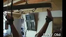 播放 可能是异常的乳头翻身是荒野交配的时候了