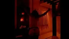 চালান ব্যাকপিঙ্ক লিজ কাট