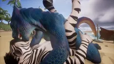 Redare Soparla si zebra fac dragoste pe plaja - fauna salbatica