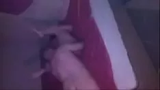 Putar Sosok kucing-kucing, pekerjaan sia-sia, dan sashay yang mengesankan menggoda di kamar